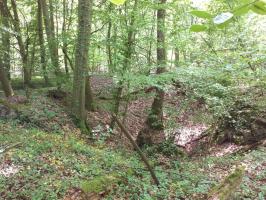 Ligne Maginot - GERRITTMUEHLE 1 - (Blockhaus de type indeterminé) - Cratère de l'explosion ?
