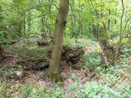 Ligne Maginot - GERRITTMUEHLE 1 - (Blockhaus de type indeterminé) - Amas de béton (à coté du cratère)