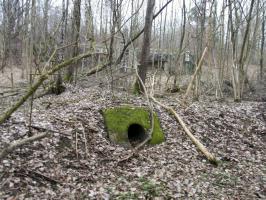 Ligne Maginot - HEIDENBUCKEL - (Abri) - La sortie de l'égout