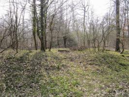 Ligne Maginot - J2 - (Chambre de coupure) - 