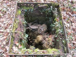 Ligne Maginot - J2 - (Chambre de coupure) - 