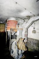 Ligne Maginot - KAUFFENHEIM (Casemate d'infanterie) - Filtre et ventilateur