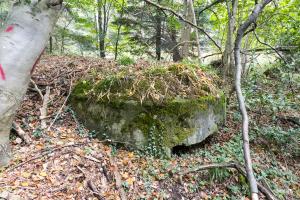 Ligne Maginot - KLOSTERGRABEN 5 - (Blockhaus pour arme infanterie) - 