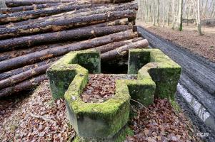 Ligne Maginot - Emplacement de Koenigsbruck 1 - 