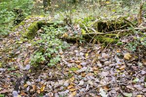 Ligne Maginot - KOENIGSBRUCK 2 (Cuve pour arme d'infanterie) - 