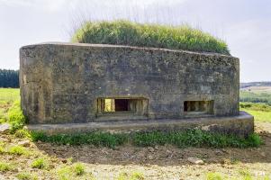 Ligne Maginot - J - GRAND PAQUIS SUD - (Blockhaus pour canon) - 