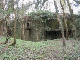 Ligne Maginot - KOENIGSBRUCK SUD - (Casemate d'infanterie) - vue générale