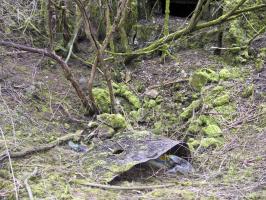 Ligne Maginot - KUBELMUEHLE 2 (AVANT POSTE) - (Blockhaus pour canon) - Détail de l'entonnoir de bombe