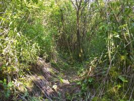 Ligne Maginot - KUBELMUEHLE 2 (AVANT POSTE) - (Blockhaus pour canon) - Tranchée à proximité du bloc
