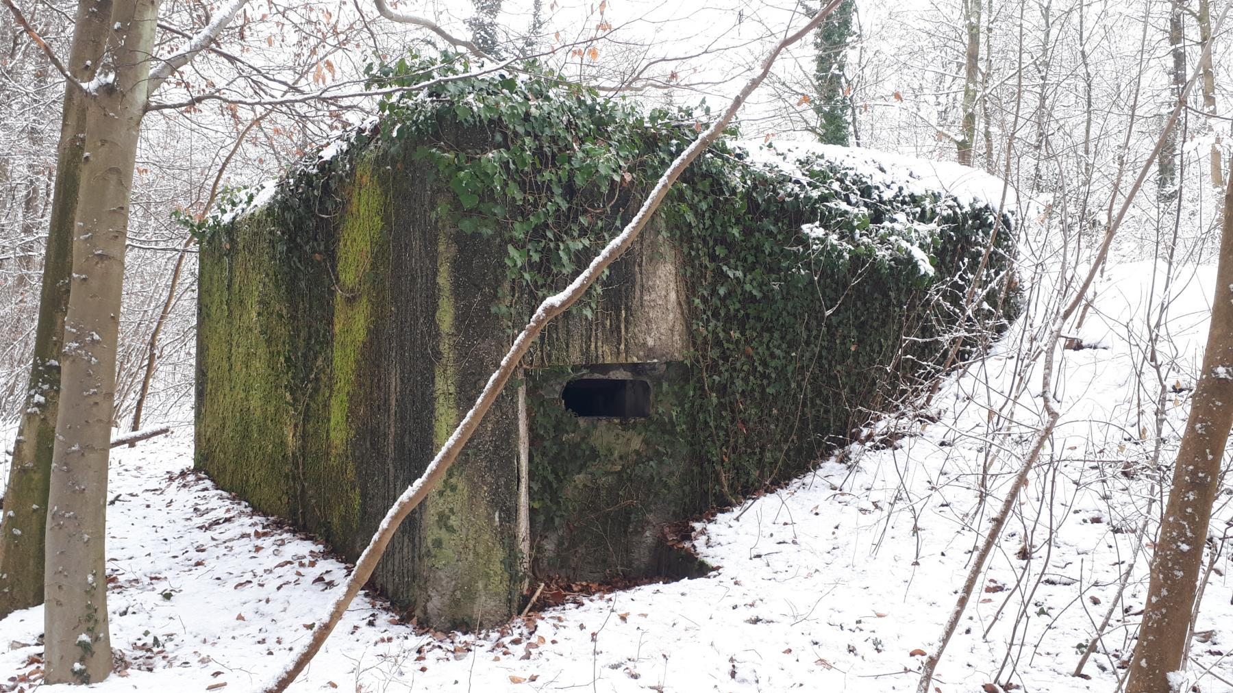 Ligne Maginot - HAUTE DIGUE 7 - (Blockhaus pour arme infanterie) - Créneau mitrailleuse nord