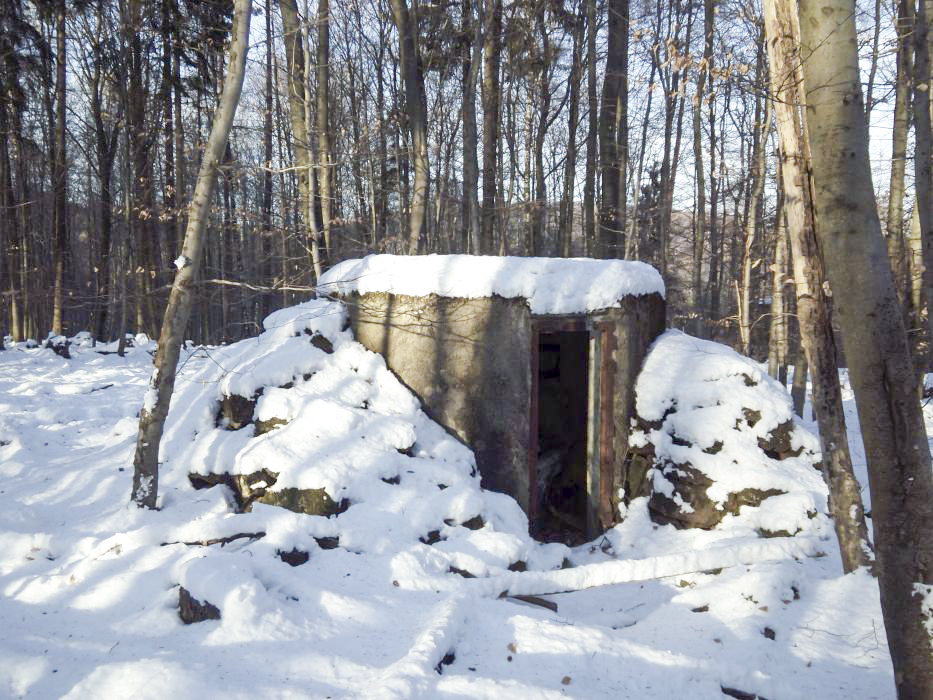 Ligne Maginot - M11 - NONNENHARDT EST 1 - (Blockhaus pour arme infanterie) - 