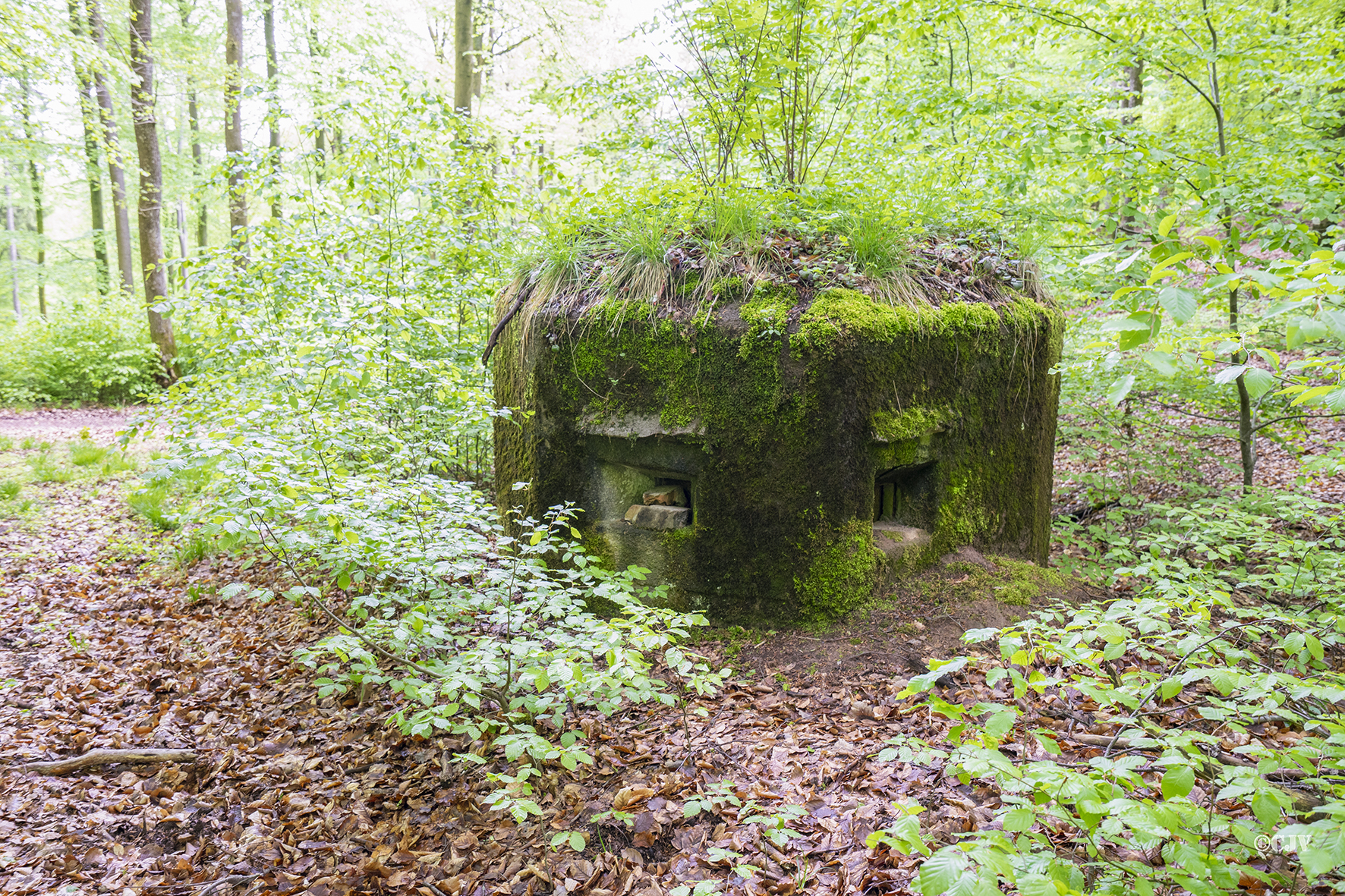 Ligne Maginot - FM30 - NONNENHARDT EST 2 - (Blockhaus pour arme infanterie) - 