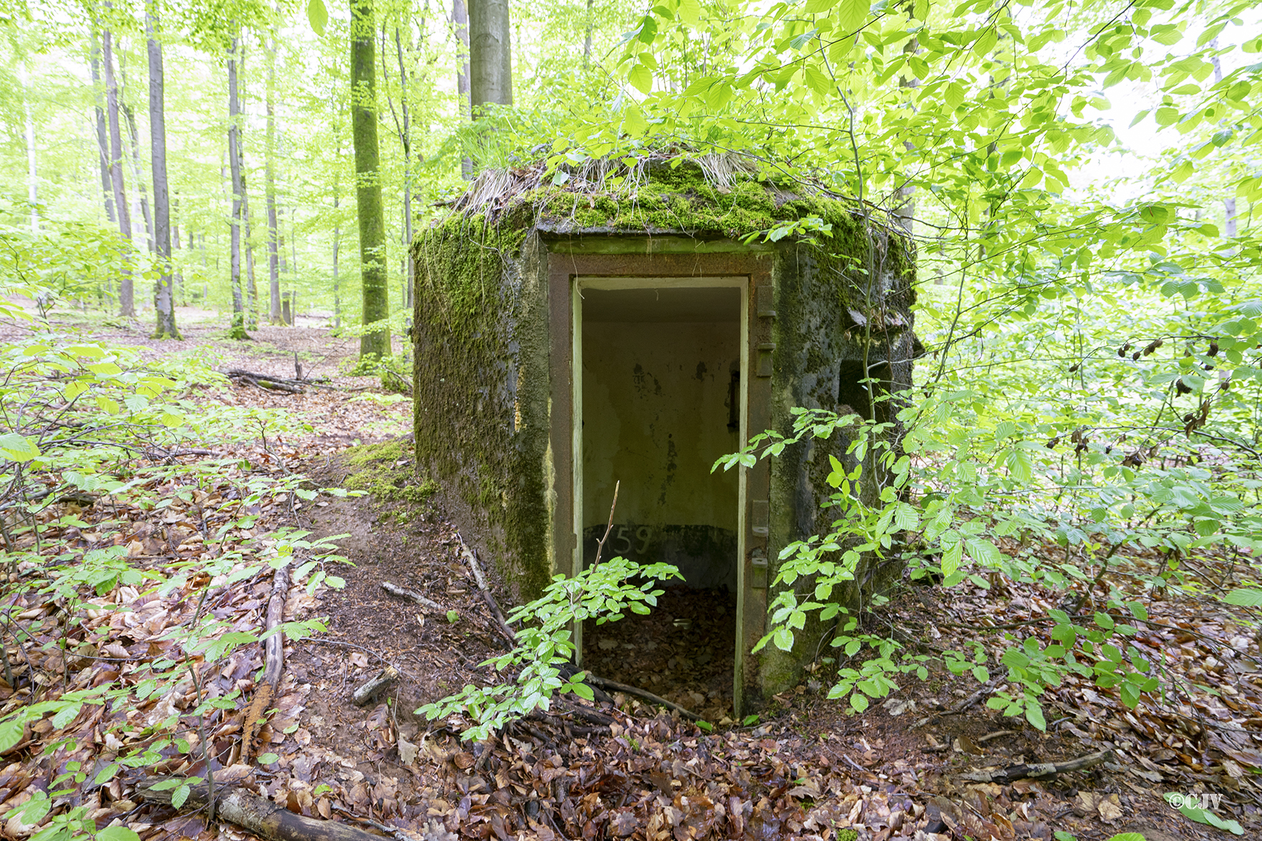 Ligne Maginot - FM30 - NONNENHARDT EST 2 - (Blockhaus pour arme infanterie) - 