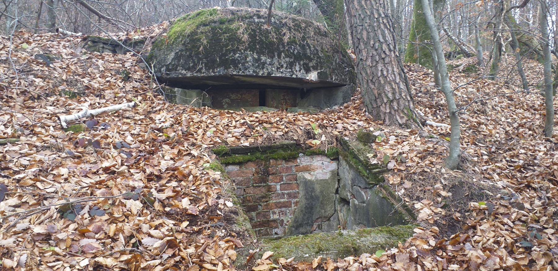 Ligne Maginot - REDUIT DU HOCHWALD - (Blockhaus pour arme infanterie) - 