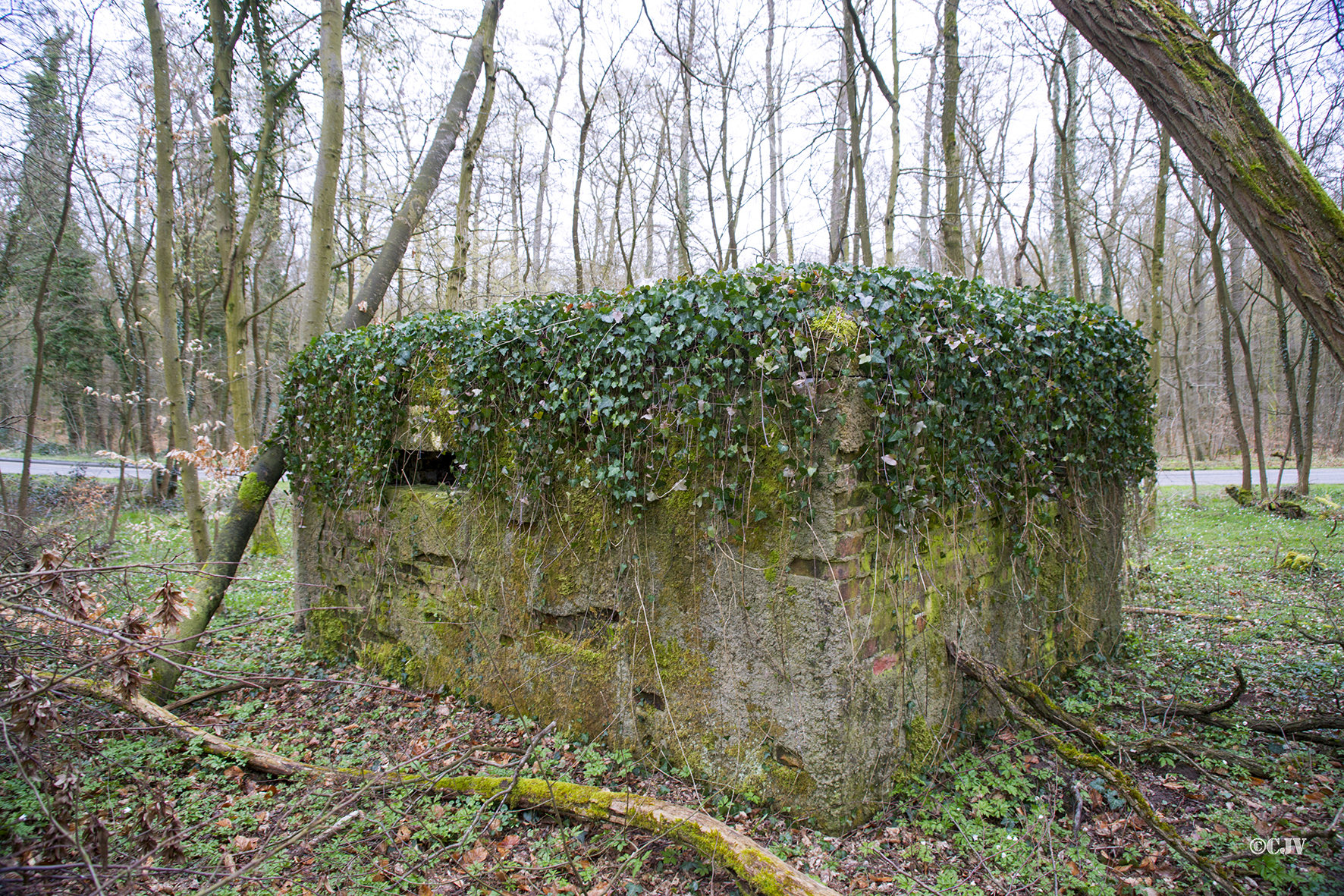 Ligne Maginot - ROUTE d'ESCHBACH ( Blockhaus pour arme infanterie ) -  - Lia VERMEULEN