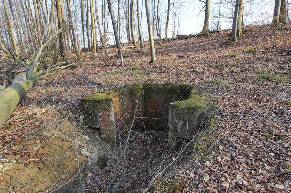 Ligne Maginot - SCHOENENBOURG - (Ouvrage d'artillerie) - Débouché d'un puit de service ayant servi pour la construction de l'ouvrage et remblayé après.
Au dessus du puits se dressait un chevalement permettant la montée et la descente des berlines de déblais. A côté se trouve un support bétonné servant d'assise au moteur du treuil et en face du puits le terril formé par les déblais extraits