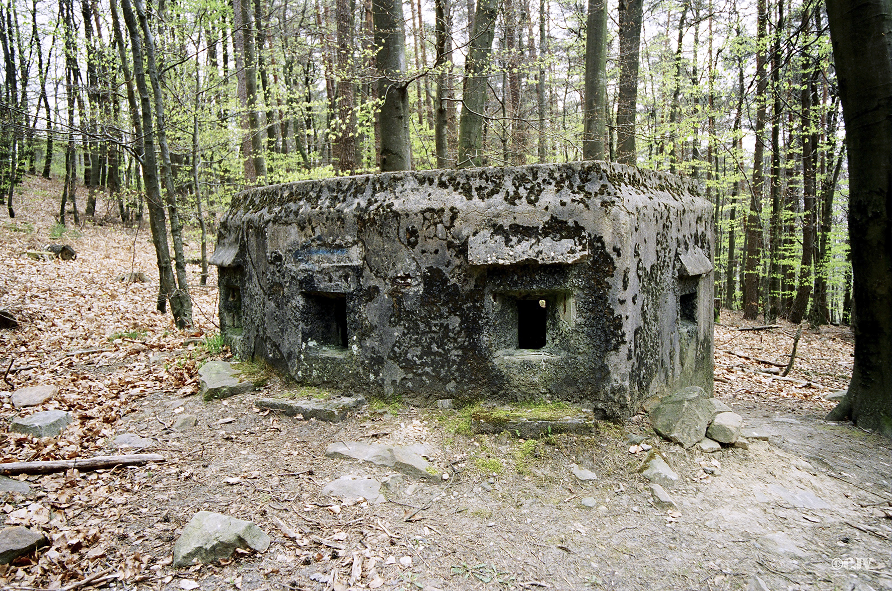 Ligne Maginot - Blockhaus du Soultzerkopf 1 - 