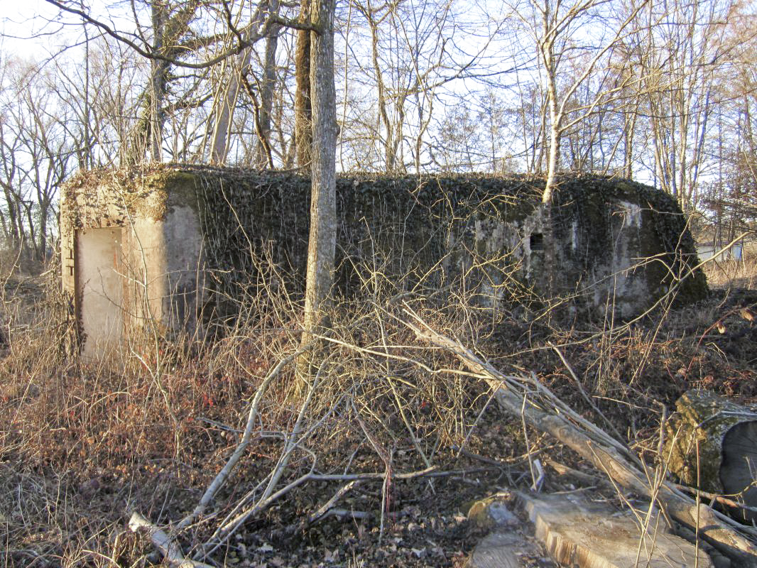 Ligne Maginot - STATION DE SURBOURG 1 - (Blockhaus de type indeterminé) - 