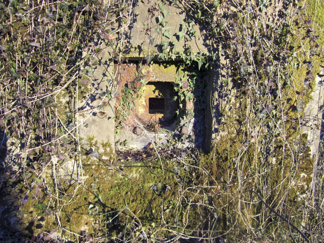 Ligne Maginot - STATION DE SURBOURG 1 - (Blockhaus de type indeterminé) - 
