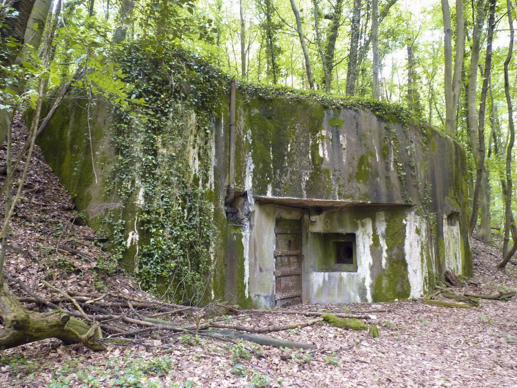 Ligne Maginot - WALKMUHL - (Abri) - Le coffre ouest - Aditus