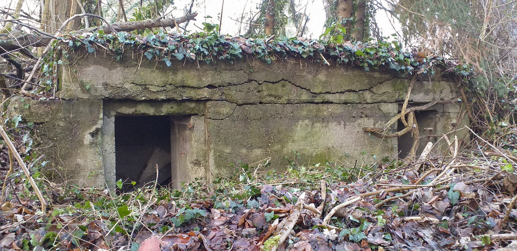 Ligne Maginot - WALDHOF CENTRE - (Blockhaus pour arme infanterie) - Les deux entrées