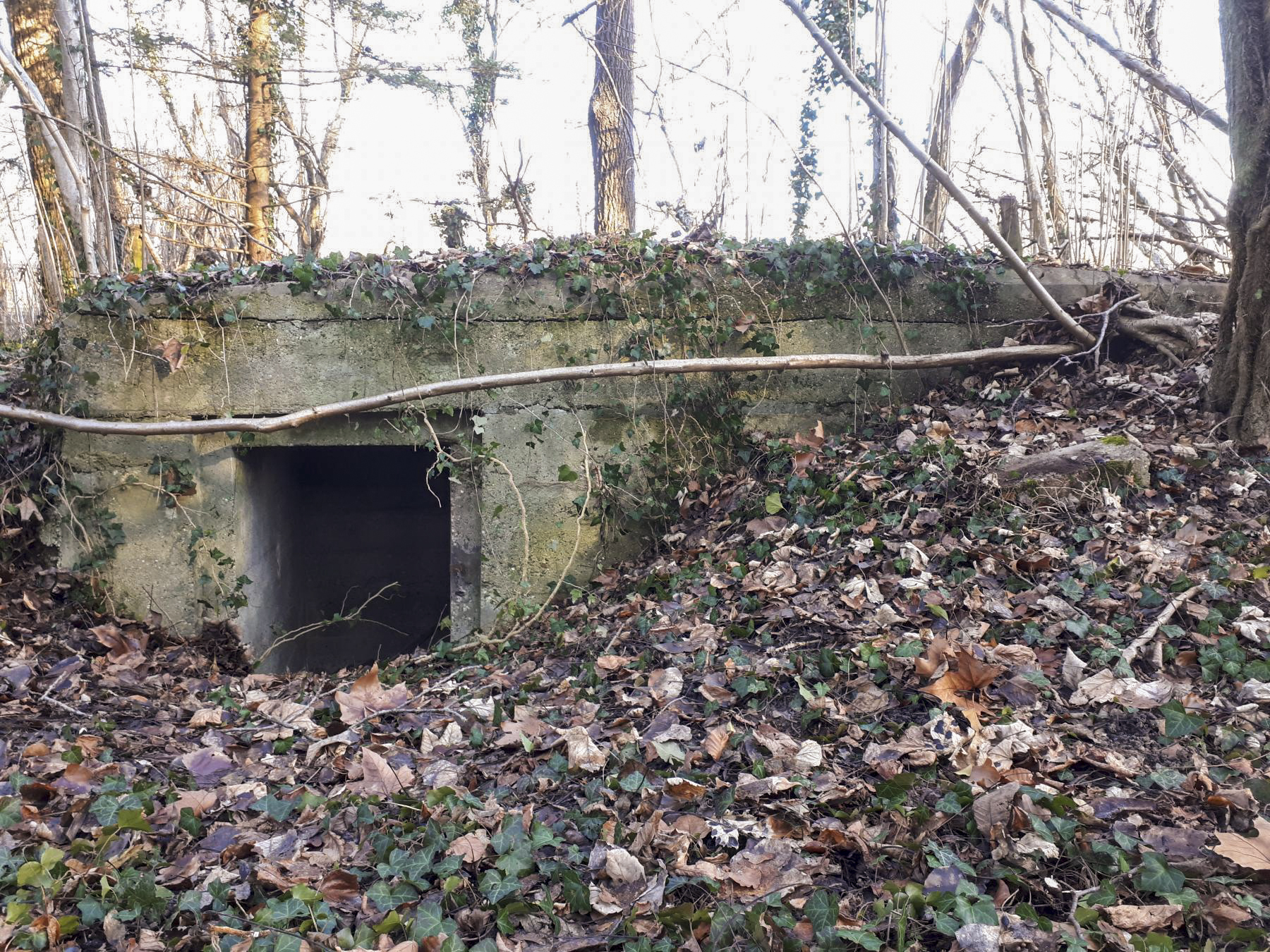 Ligne Maginot - WALDHOF EST - (Blockhaus pour arme infanterie) - Une des 2 entrées - G.Fuchs