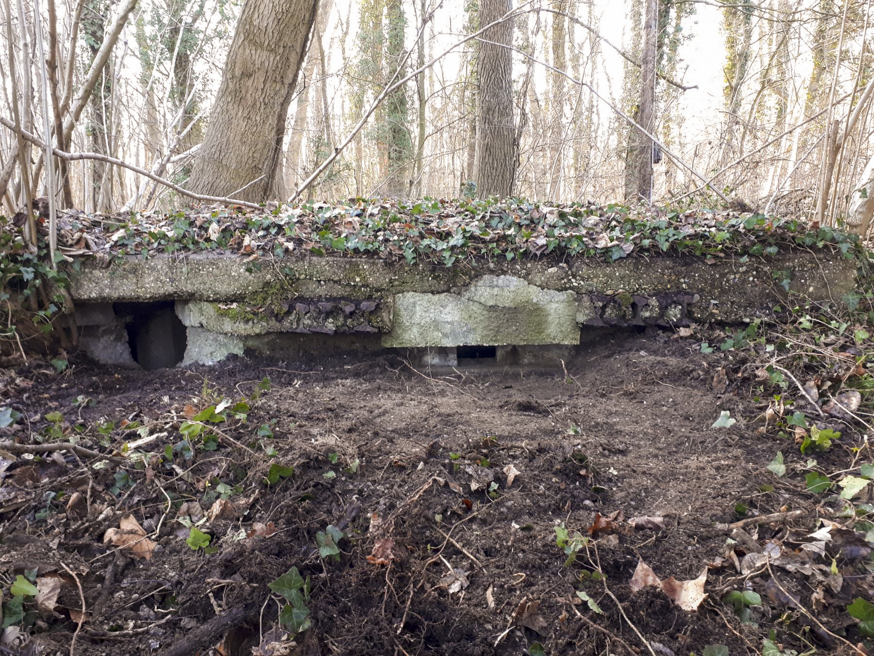 Ligne Maginot - WALDHOF EST - (Blockhaus pour arme infanterie) - Les 2 créneaux - G.Fuchs