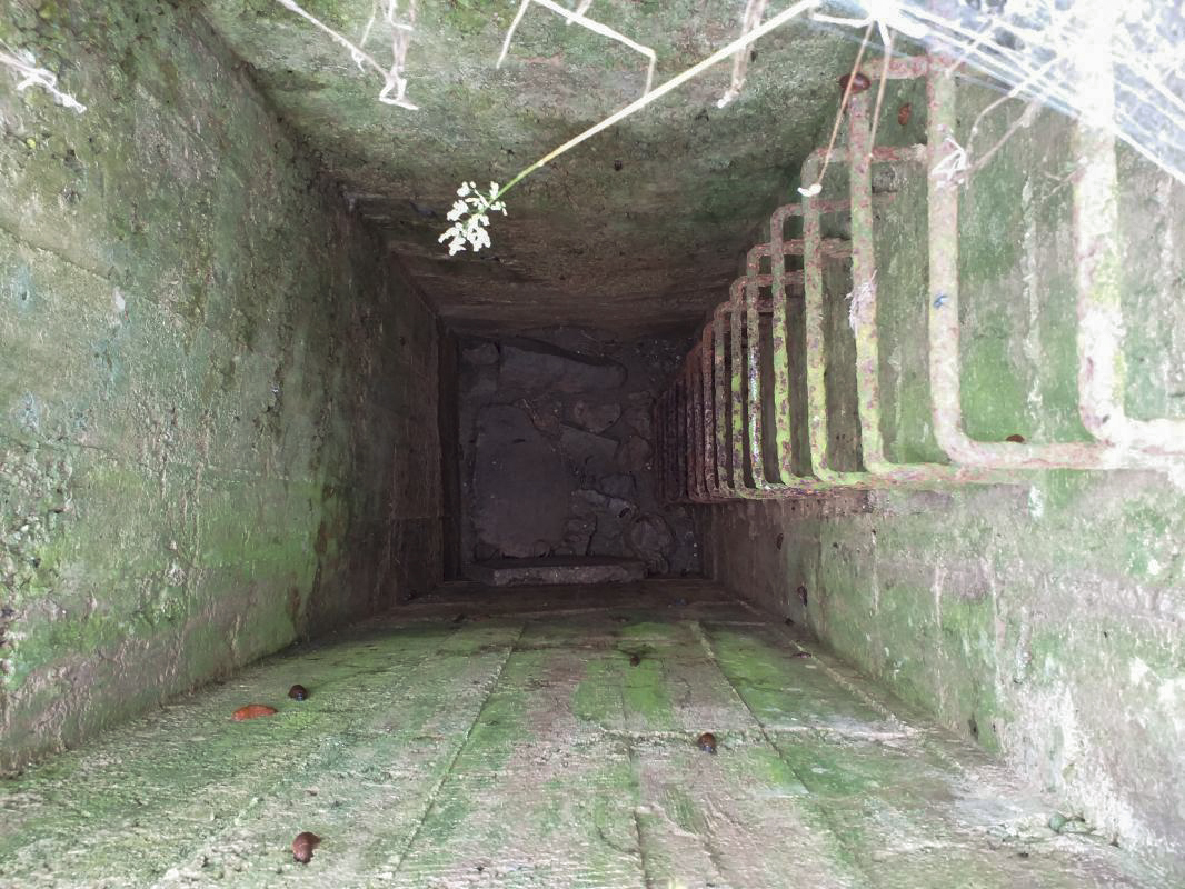Ligne Maginot - BOIS DE HOFFEN EST - O3 - (Casemate d'infanterie - Simple) - Regard de visite de l'égout