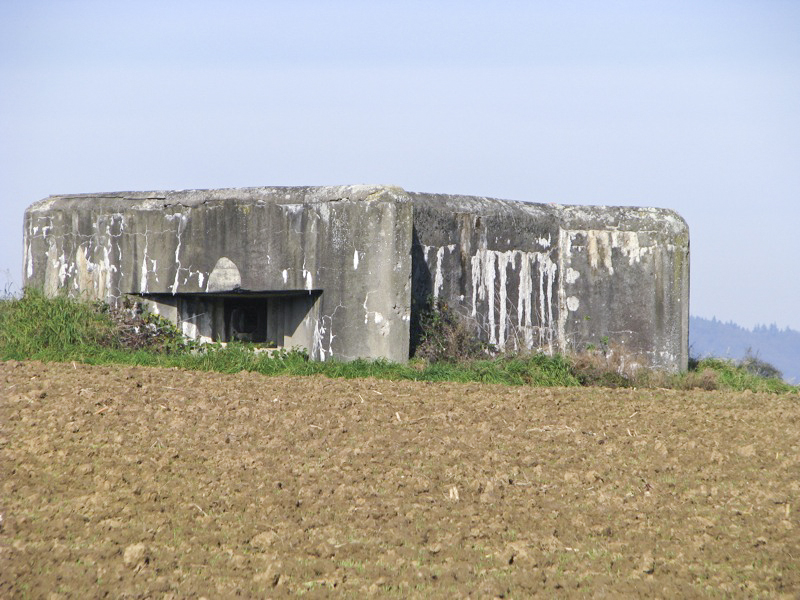 Ligne Maginot - Vue générale extérieure - Vue générale extérieure