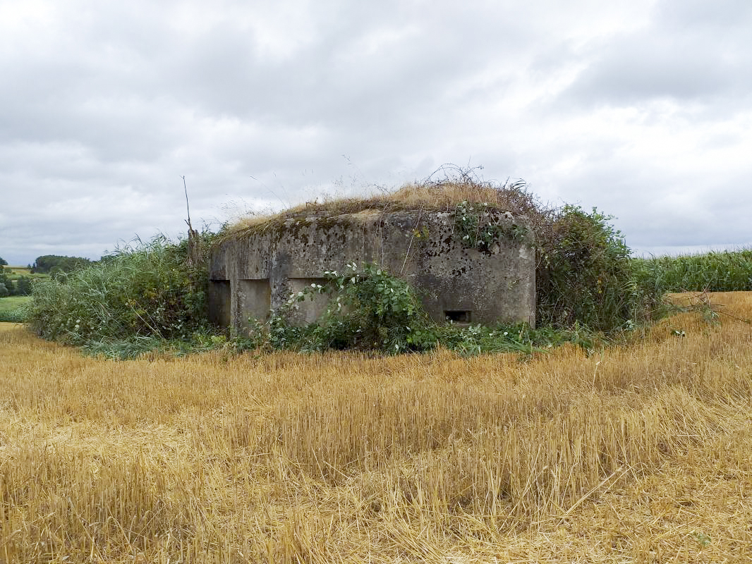 Ligne Maginot - BUCHHOLZERBERG Est ( Blockhaus pour arme infanterie ) - Vue coté gauche