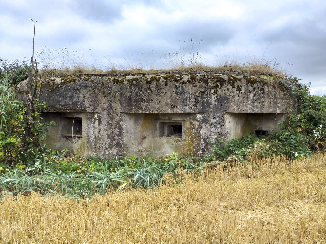 Ligne Maginot - BUCHHOLZERBERG Est ( Blockhaus pour arme infanterie ) - Façade du blockhaus