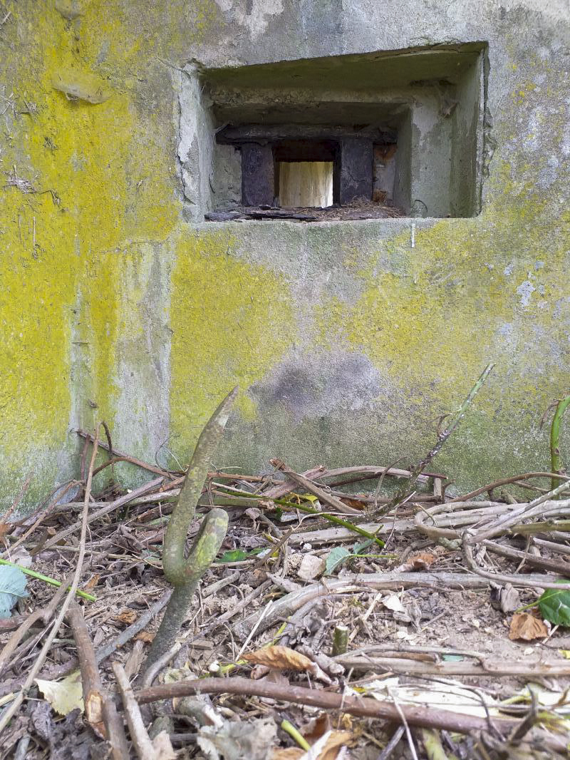 Ligne Maginot - BUCHHOLZERBERG Est ( Blockhaus pour arme infanterie ) - Créneau de défense rapprochée en façade et queue de cochon