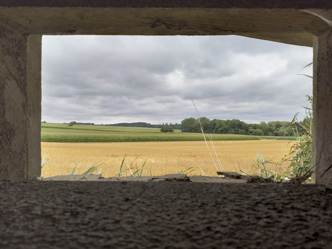 Ligne Maginot - BUCHHOLZERBERG Est ( Blockhaus pour arme infanterie ) - Vue depuis l'embrasure gauche - Gregory Fuchs