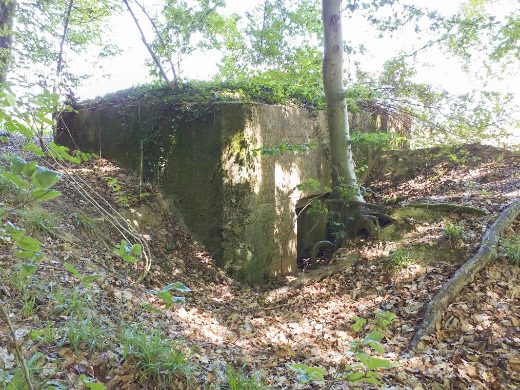 Ligne Maginot - BOIS DE HOFFEN 2 - (Blockhaus pour arme infanterie) - Chicane en terre protégeant l'entrée