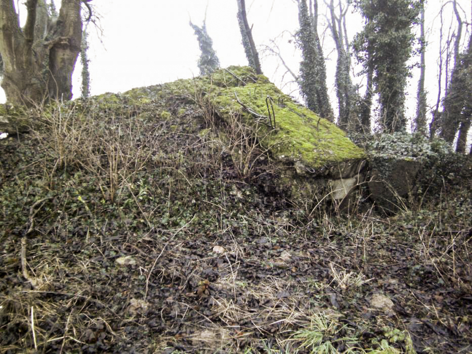 Ligne Maginot - EBENUNG ( Blockhaus pour arme infanterie ) - Vue sur les ruines