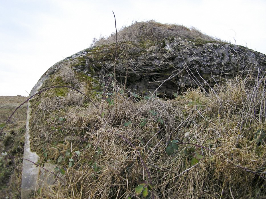 Ligne Maginot - EICHELBERG NORD - (Blockhaus pour canon) - Façade avant