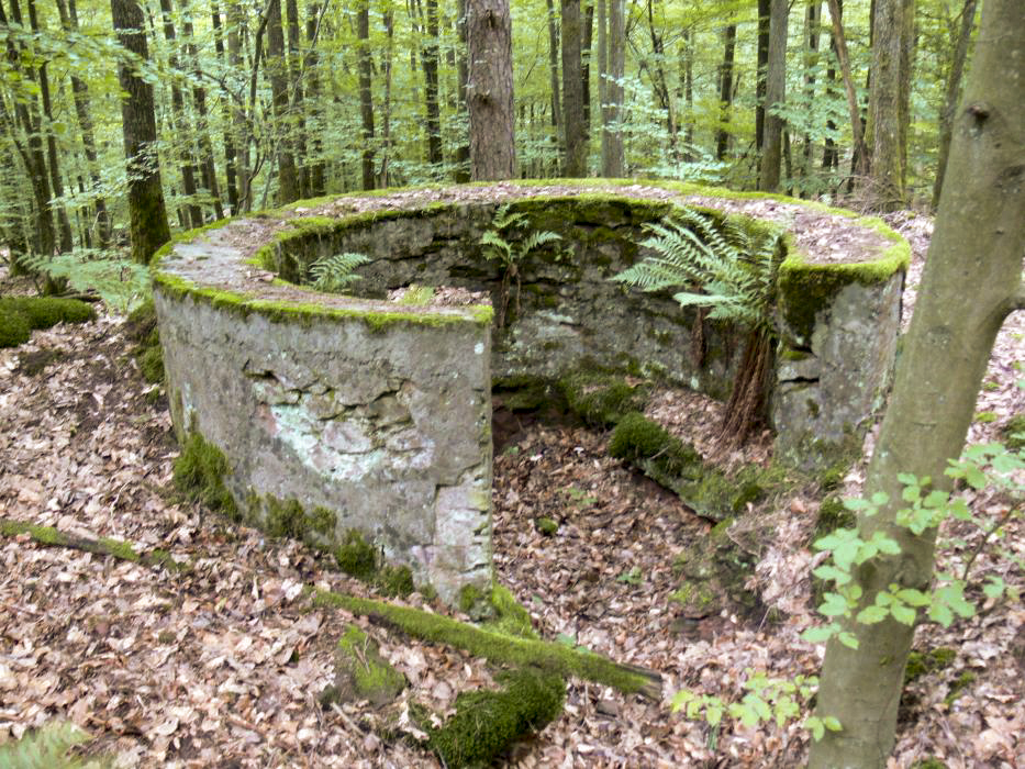 Ligne Maginot - BIESENBERG (Cuve pour arme d'infanterie) - 