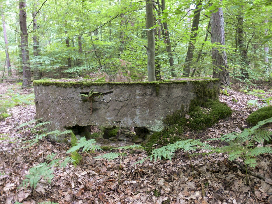 Ligne Maginot - BIESENBERG (Cuve pour arme d'infanterie) - 