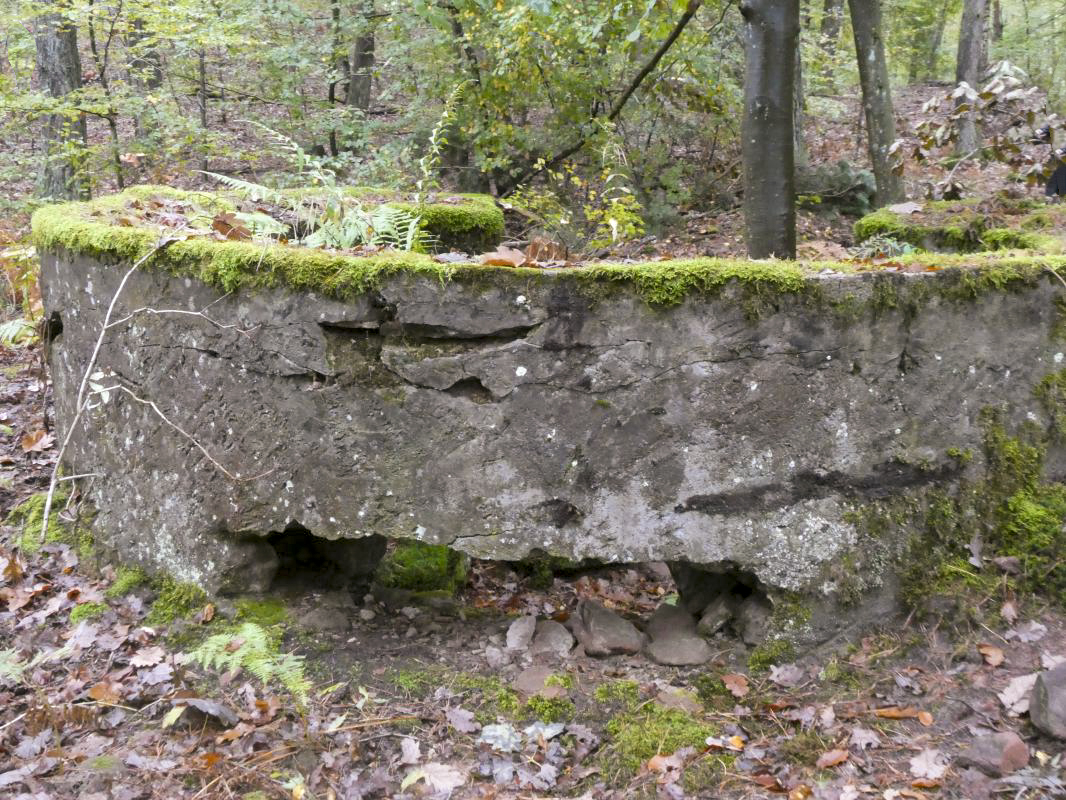 Ligne Maginot - BIESENBERG (Cuve pour arme d'infanterie) - 