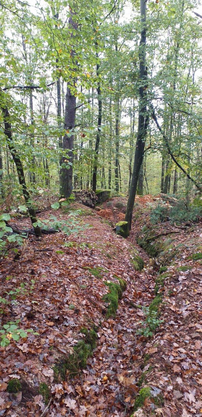 Ligne Maginot - BIESENBERG (Cuve pour arme d'infanterie) -  - Gregory Fuchs