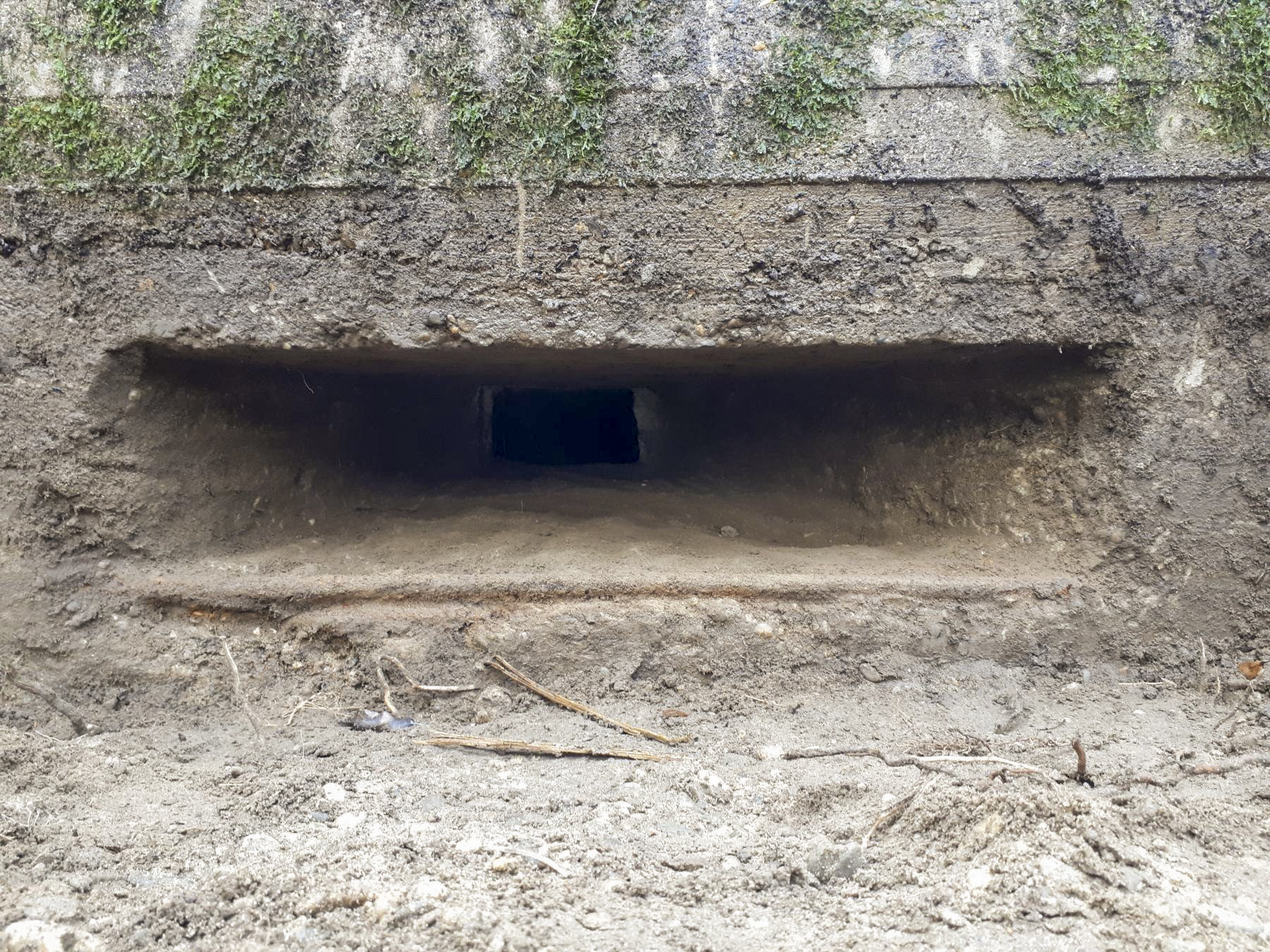 Ligne Maginot - LEUTESHEIM 2 - (Blockhaus pour arme infanterie) -  - Les Gardiens du Rhin