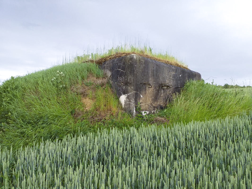 Ligne Maginot - HECKENMUEHLE Centre (Blockhaus pour arme infanterie) - Vue arrière