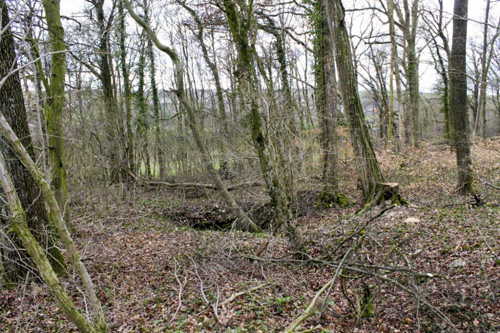 Ligne Maginot - WEIDESHEIMER BERG (QUARTIER SCHLOSSWALD - I/133 RIF) - (PC de Quartier) - Vers un premier abri en tôle métro - Christian LENHARD