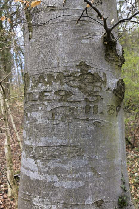 Ligne Maginot - WEIDESHEIMER BERG (QUARTIER SCHLOSSWALD - I/133 RIF) - (PC de Quartier) - Inscription daté du 23-11-39 - Christian LENHARD