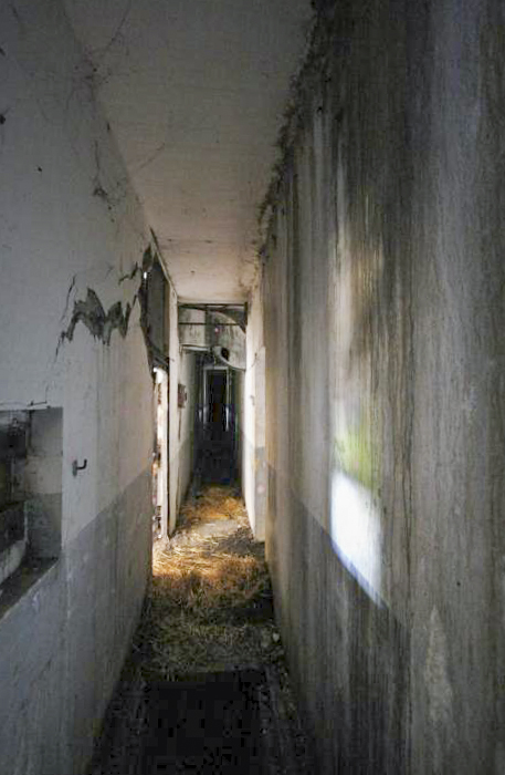 Ligne Maginot - HOFFEN - (Abri) - Couloir au niveau de l'entrée Sud
Les dégâts causés par l'explosion de la bombe de stuka sont déjà visibles à ce niveau
