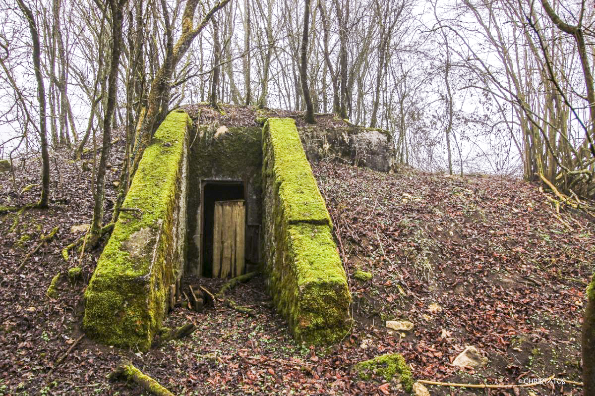 Ligne Maginot - X561 - (Chambre de coupure) -  - Christian LENHARD