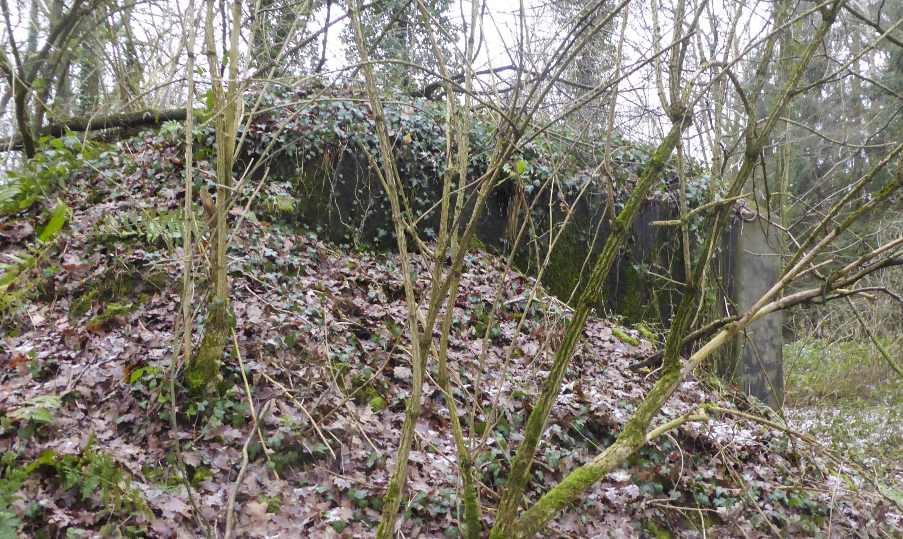 Ligne Maginot - La BRUENNE ( Chambre de coupure - Avec central ) - 