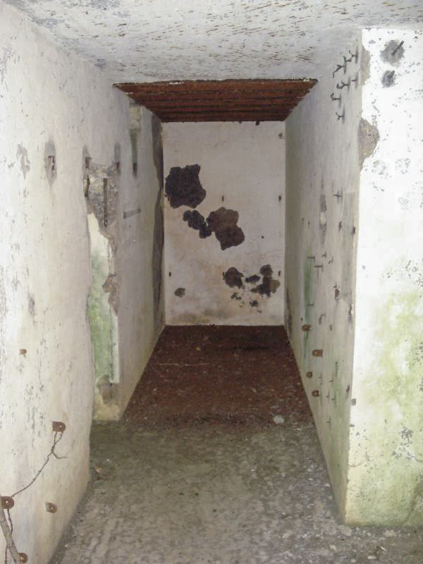 Ligne Maginot - My13 - VILLECLOYE (Casemate d'artillerie) - 