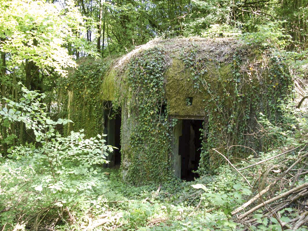 Ligne Maginot - My13 - VILLECLOYE (Casemate d'artillerie) - 