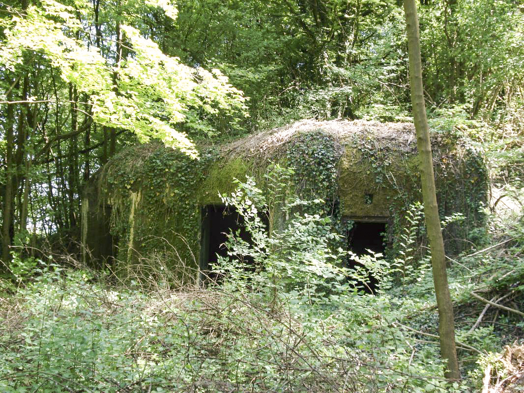Ligne Maginot - My13 - VILLECLOYE (Casemate d'artillerie) - 